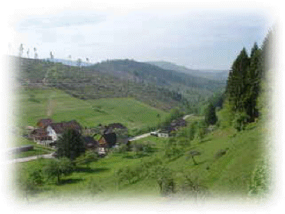 Sturmschden bei Mllenbach, Baden Baden