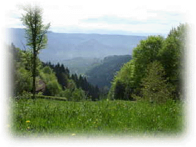 Blick ins Murgtal von der Rote Lache